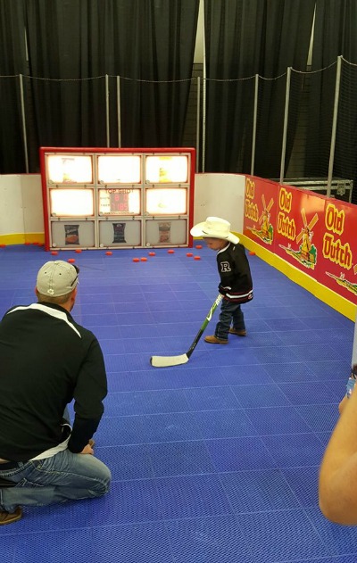 electronic hokey net