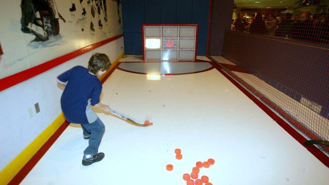 electronic hokey net