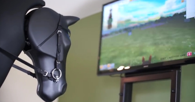 horse simulator