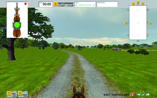 horse riding simulator