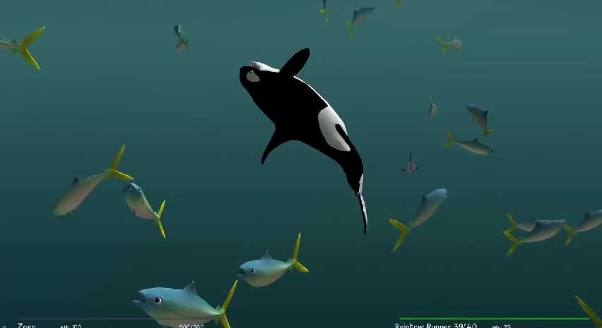dolphin rehab game