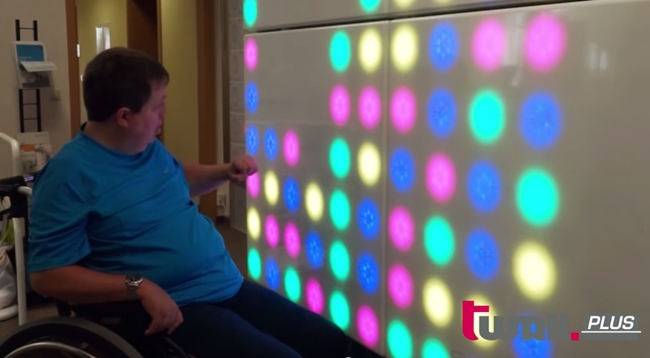 twall plus